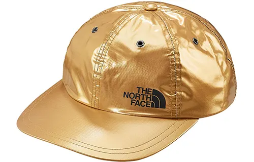 Supreme The North Face Metallic 6 Panel