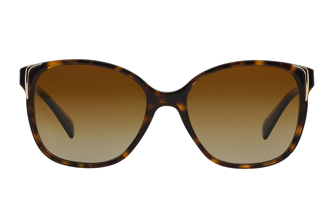 Женские очки Prada Butterfly Acetate Sunglasses (коричневые) — фото 2