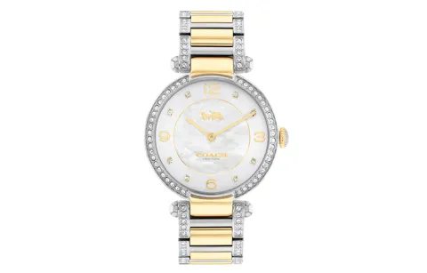 COACH Women's Cary Watch