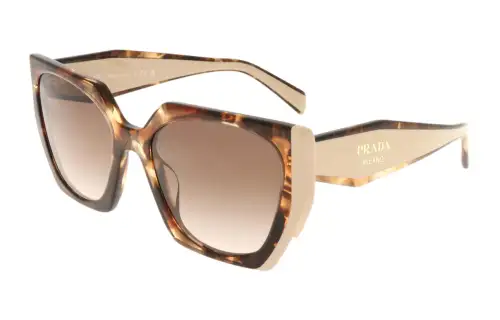 PRADA Butterfly Irregular Shape Sunglasses Unisex
