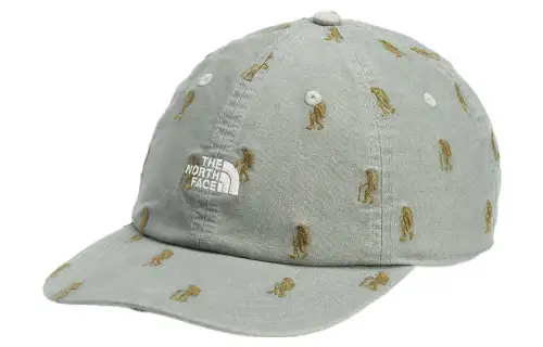 THE NORTH FACE Cotton Baseball Caps Unisex