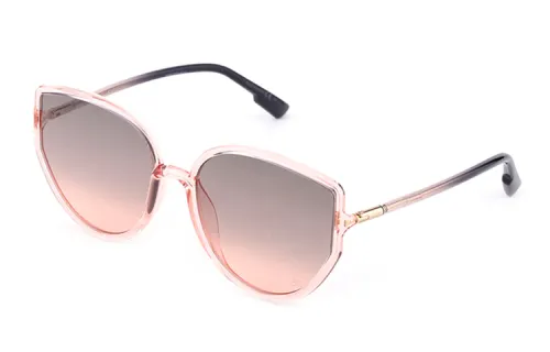 DIOR Sunglasses Unisex Pink Semi Transparent