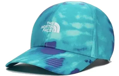 THE NORTH FACE Sns Logo Hat