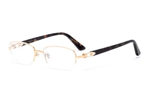 Cartier Oval Semi Rimless Glasses
