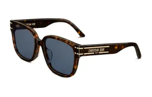 DIOR Plate Frame Butterfly Sunglasses Women's