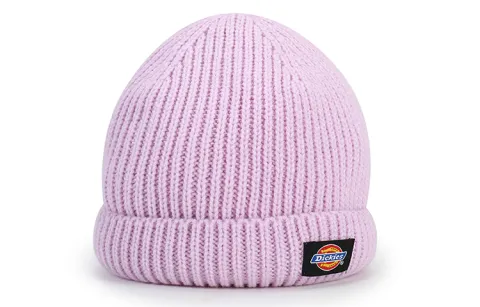 Dickies Beanies Unisex Purple