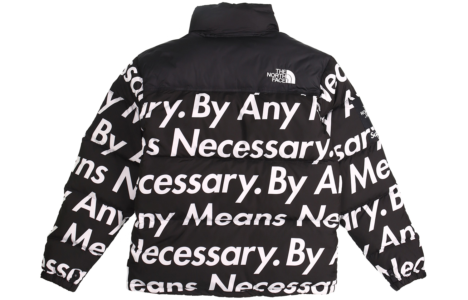 The north face online by any means