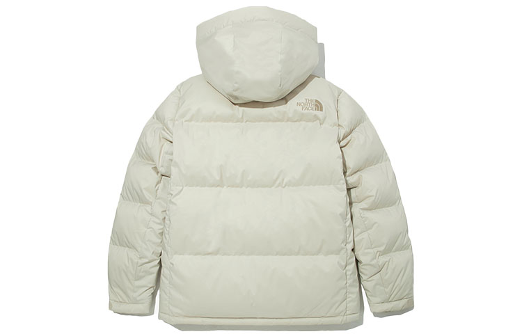 THE NORTH FACE FW22 DryventLogo   