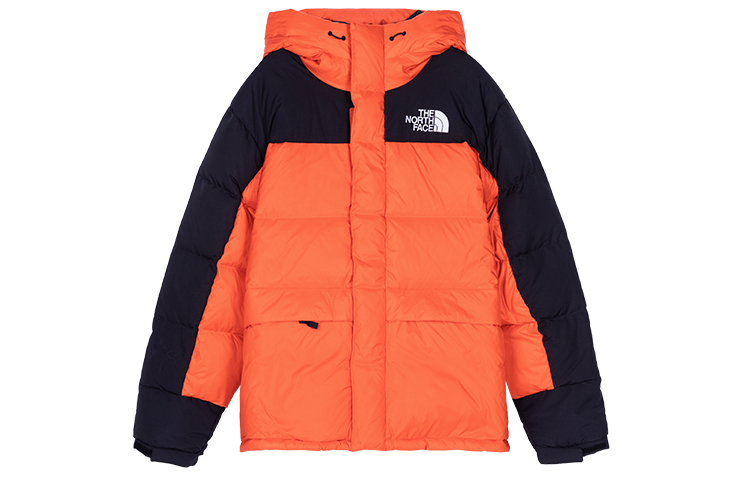 THE NORTH FACE DOWN PARKA ENERGY