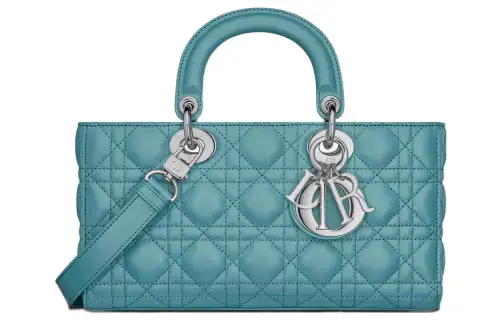 DIOR Lady D Joy Clutches