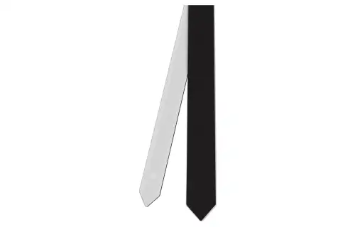 DIOR Ties Women's Black/White
