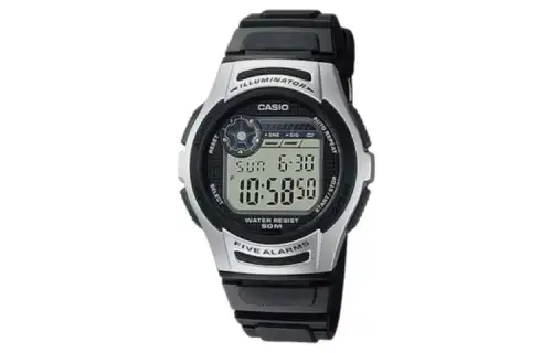 CASIO Unisex Gray Watch W-213-1A