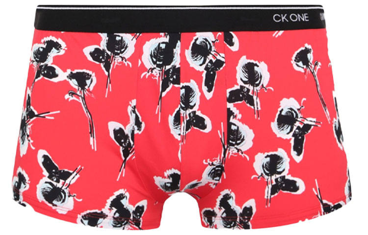 CK/Calvin Klein