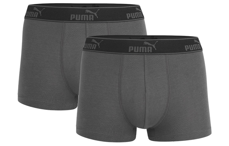 Puma Logo