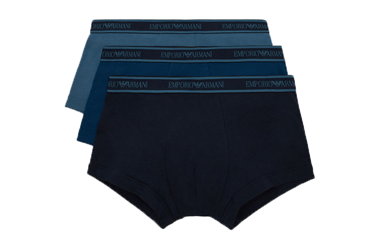 /EMPORIO ARMANI Logo  3