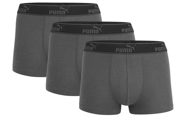 Puma Logo