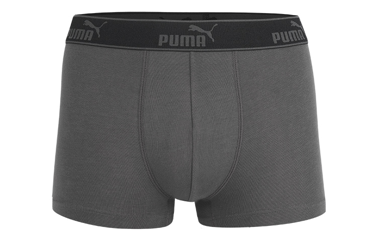 Puma Logo