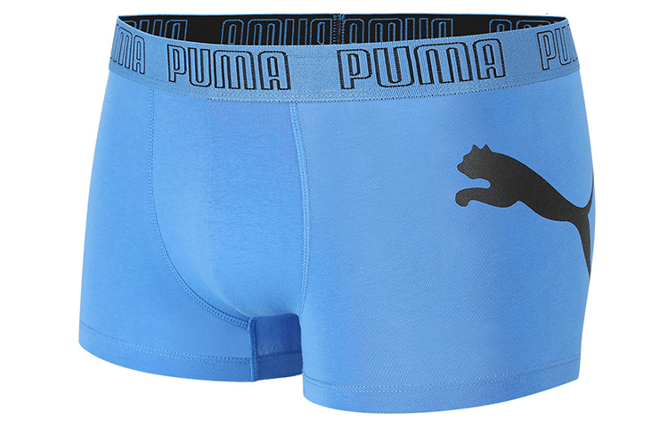 Puma Logo