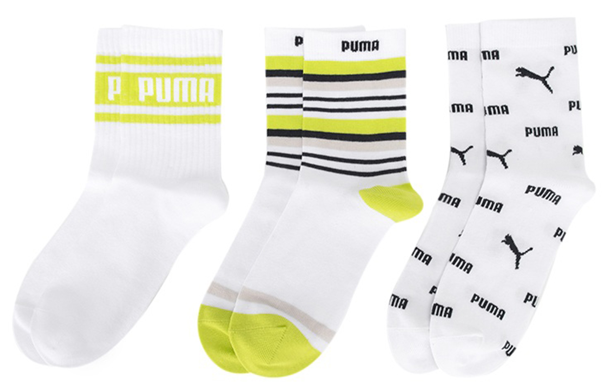 Puma   3