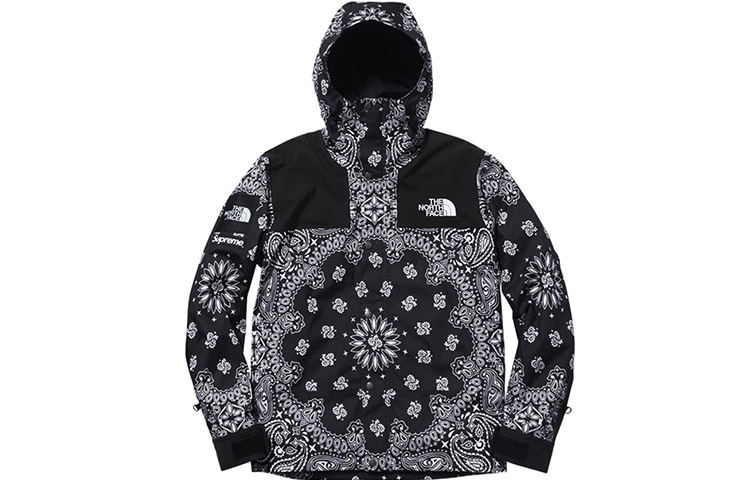 Supreme x THE NORTH FACE TNF