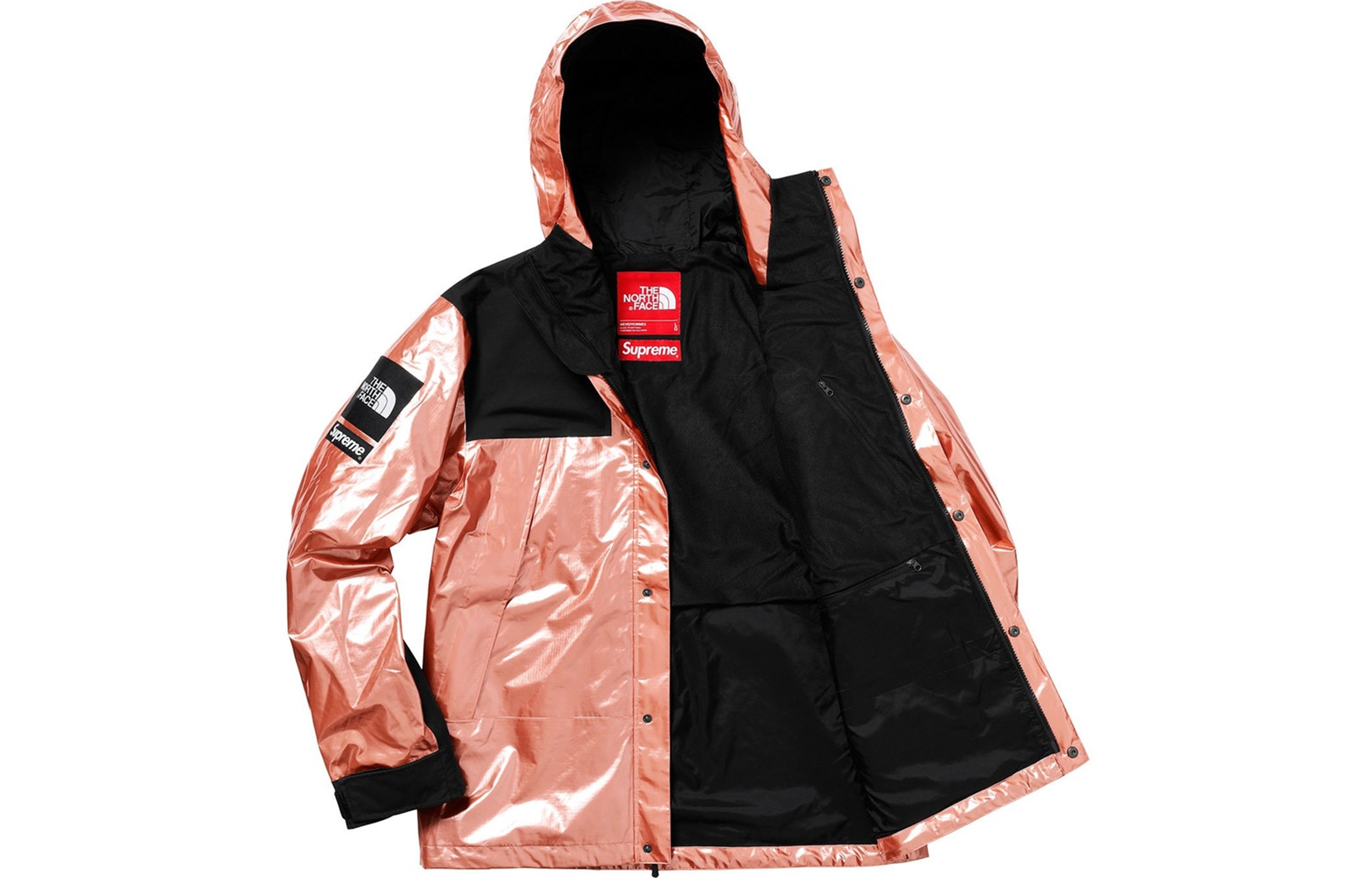 Supreme TNF TNF Metallic Parka    