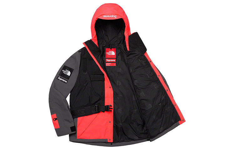 Куртка Supreme x The North Face SS20 Week 3 (розовый) — фото 3