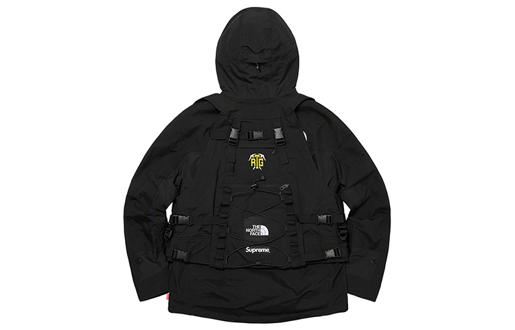 Куртка Supreme x /THE NORTH FACE SS20 Week 3 (черная) — фото 2