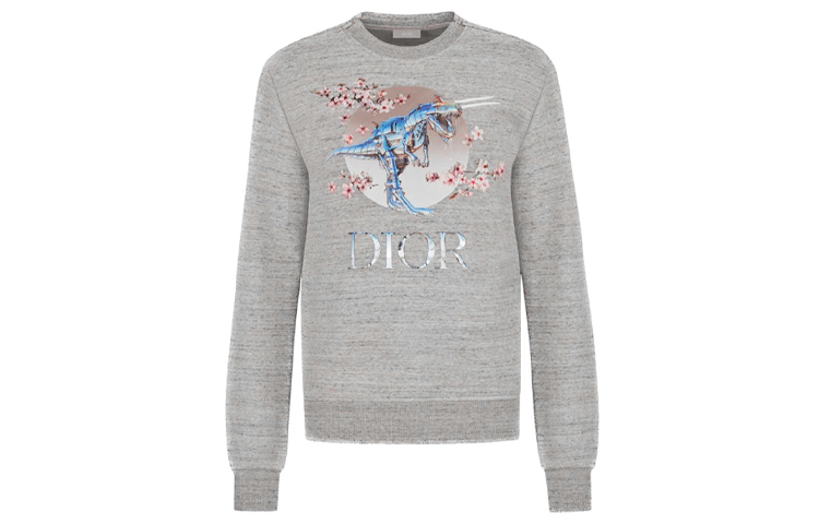 Толстовки на молнии Dior