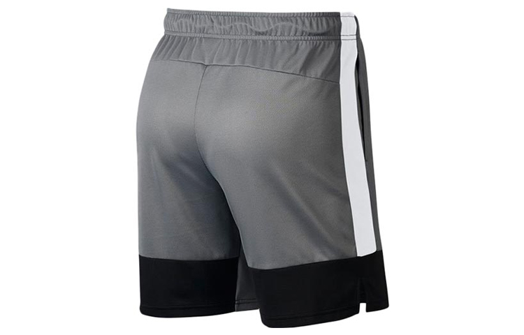 Мужские шорты Nike Dri-Fit (серые) — фото 2