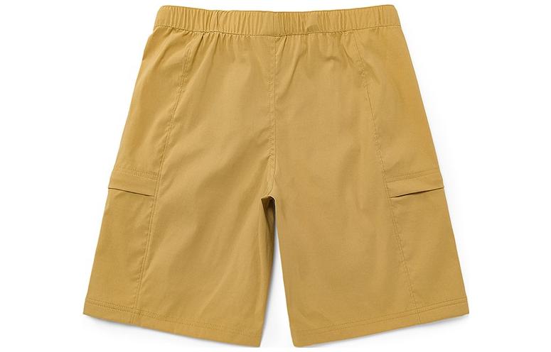 THE NORTH FACE Sports Shorts Men’s Brown Moderate
