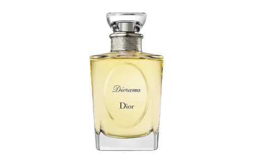 DIOR Western Mirror
