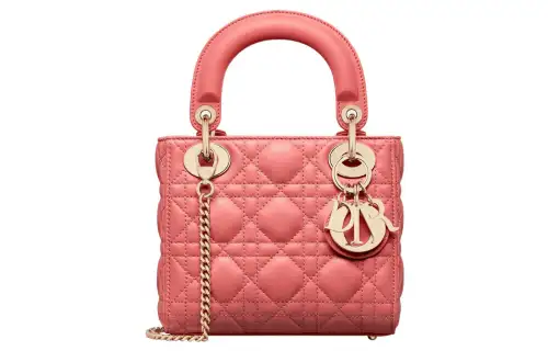 DIOR Handbags