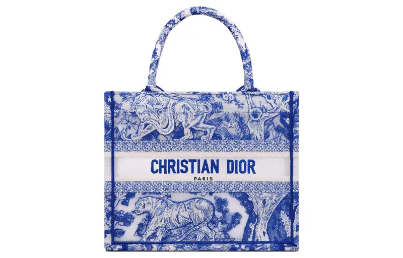 DIOR BookTote Handbags