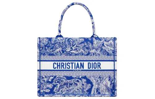 DIOR BookTote Handbags