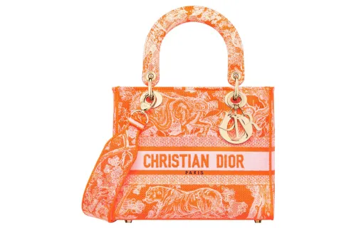 DIOR Handbags