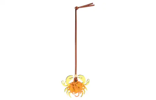 LOEWE Charms Unisex Yellow