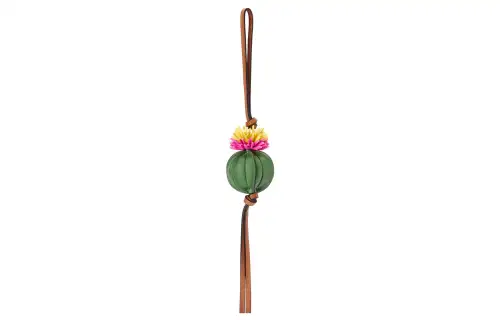 LOEWE Charms Unisex Green