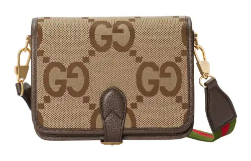 GUCCI Canvas Bag, Messenger Bag, Trunk Bag, Shoulder Bag, Crossbody Bag Women's Beige Brown