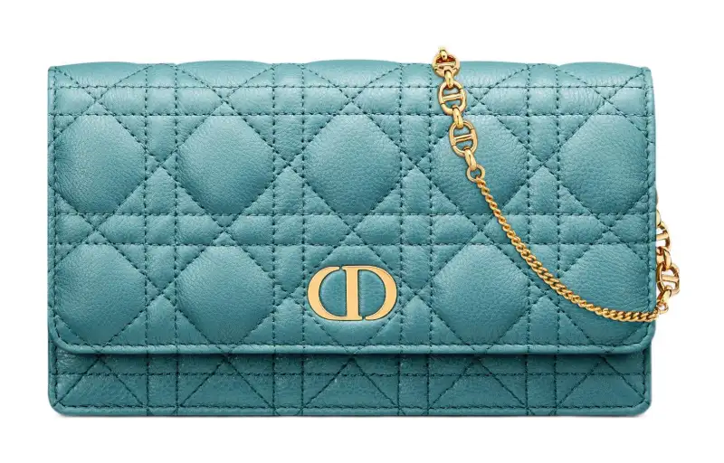 DIOR Caro Clutches