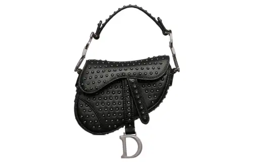 DIOR Saddle Clutches