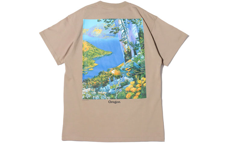 Мужская футболка Nike ACG Crater Lake T (хаки) — фото 2