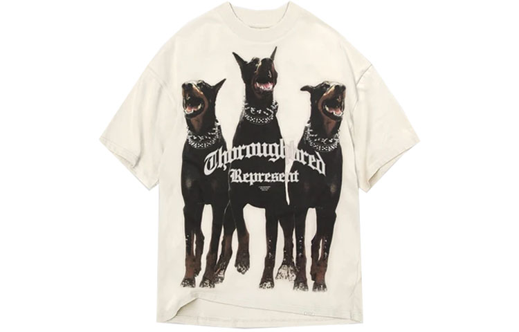 Photo 22543611