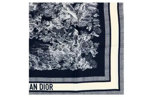 DIOR Scarves Unisex Blue