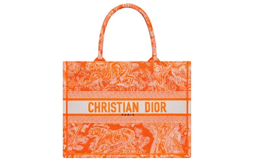 DIOR BookTote Handbags