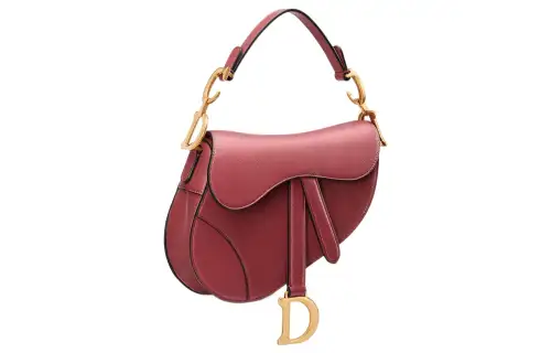 DIOR Saddle Handbags