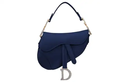 DIOR Saddle Shoulder Bags