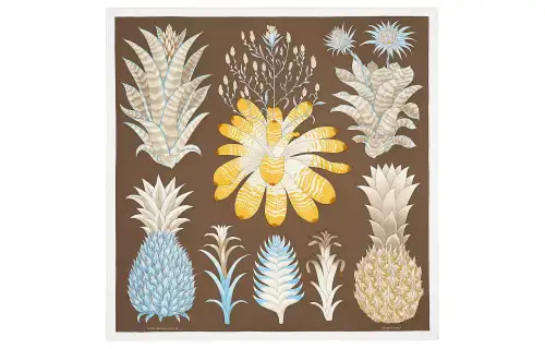 HERMES Carre Scarves Women's Brown