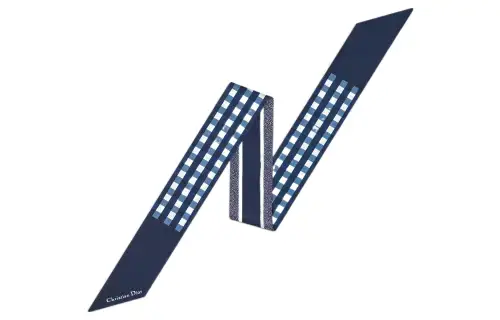 DIOR Scarves Women's Marine Blue/White