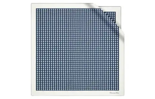 DIOR Scarves Women's Marine Blue/White