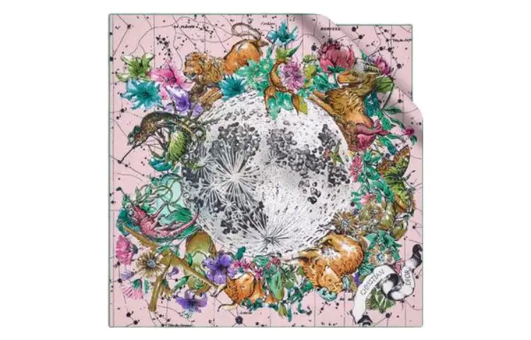 DIOR Scarves Women's Multicolor